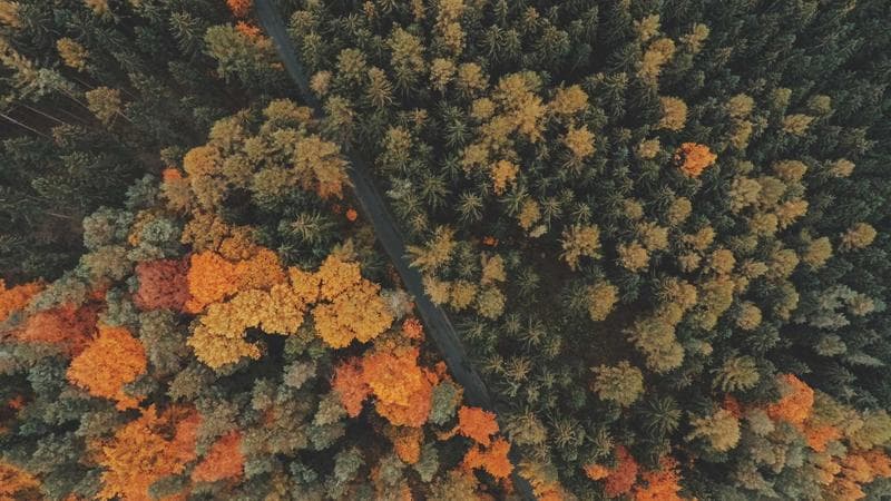 The AlphaFold Revolution: How AI Solved Protein Structure Prediction