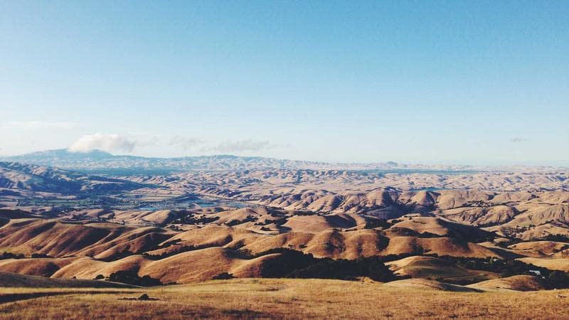 CRISPR and Bioinformatics: Designing Guide RNAs and Analyzing Edits