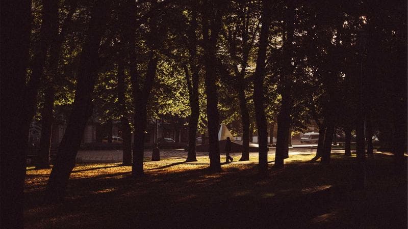 Metagenomics: Decoding Microbial Communities Without Culturing