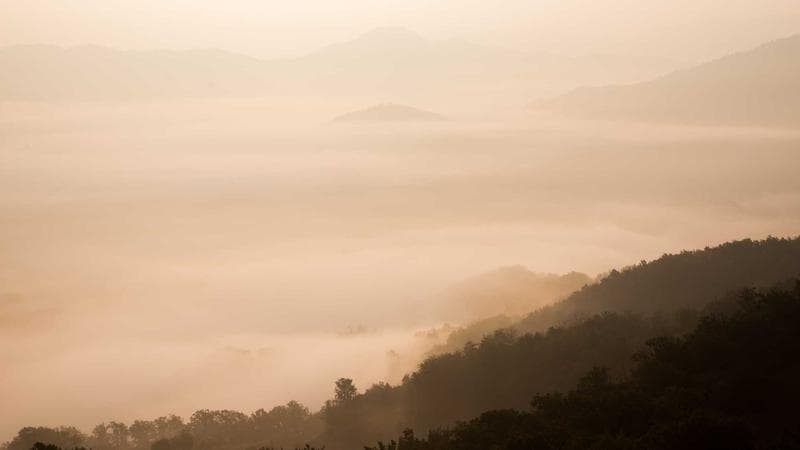 Machine Learning in Drug Discovery: From Molecules to Medicine